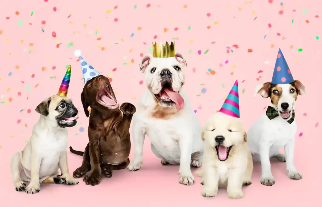 Día Mundial del Perro: Ideas para consentir a tu mejor amigo
