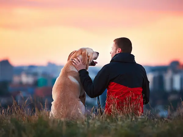 La importancia de cuidar a una mascota en la vida diaria