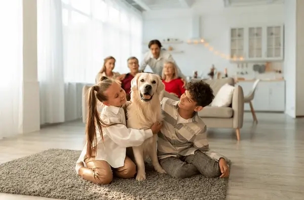 Tiempo de calidad y afecto diario para cuidar a tu mascota