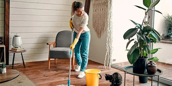 consejos para mantener orden en el hogar