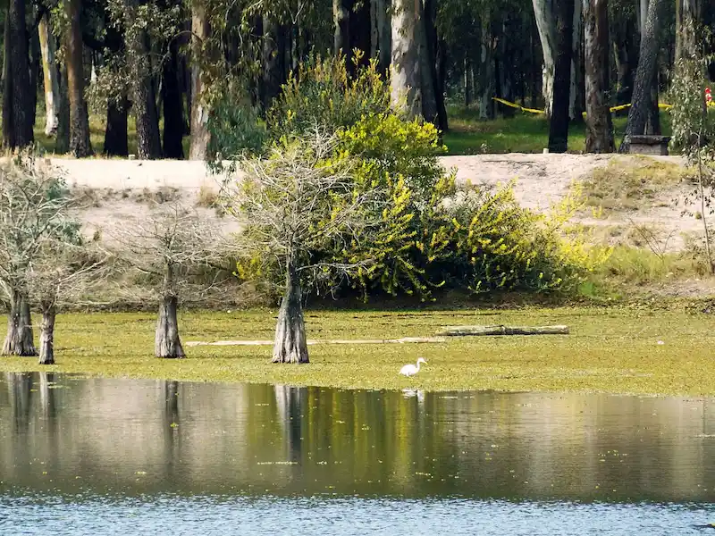 Parque Roosevelt