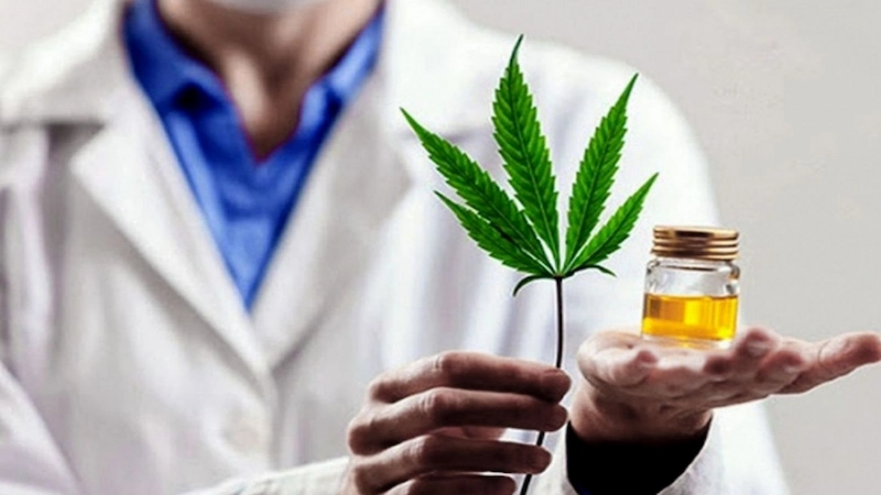 cannabis medicinal