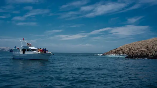 Islas Palomino
