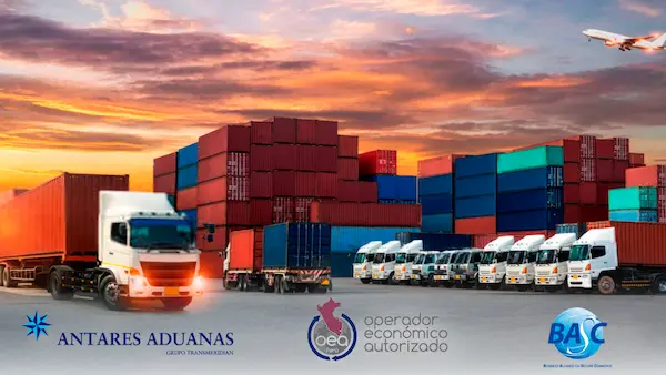 Soporte especializado en procesos de exportación