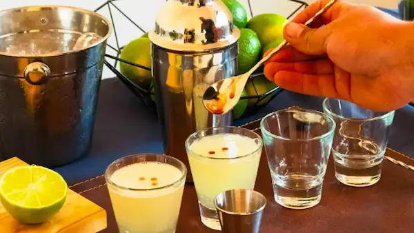 Ingredientes para un Pisco Sour