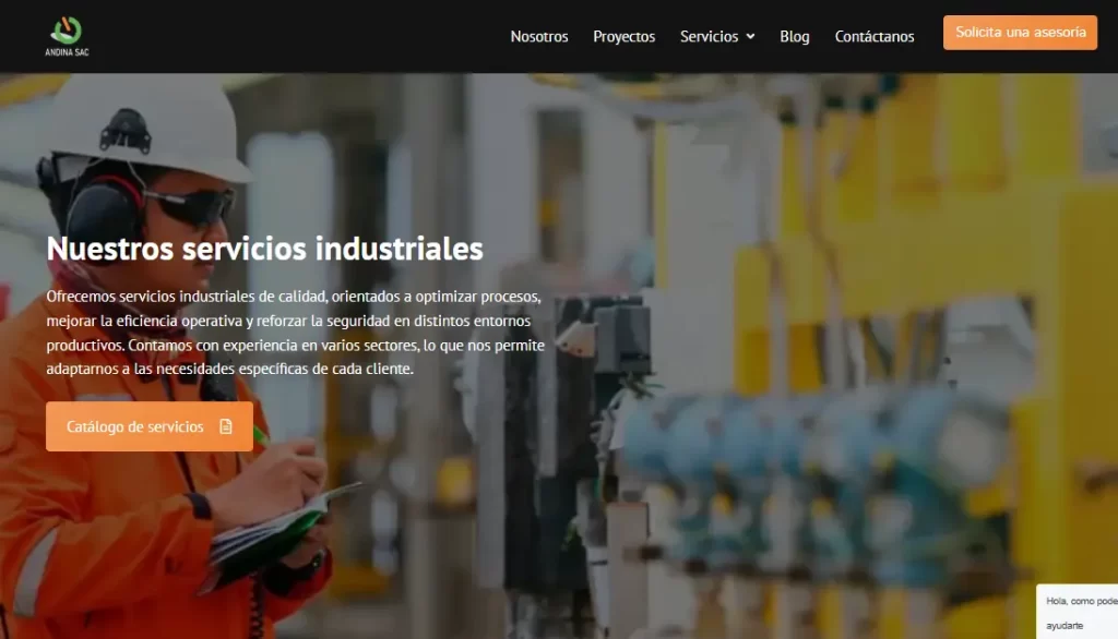 pagina web de Andina SAC
