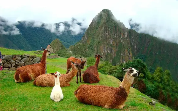 Cómo adaptar los viajes familiares según las estaciones y clima del Perú
