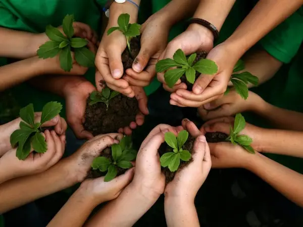 Imagen de personas agarrando plantas con  manos.