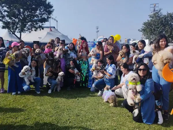 La evolución de las celebraciones para mascotas en Lima