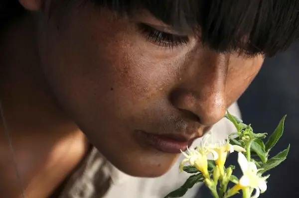 13. La teta asustada (2009) memoria del dolor causado por la violencia