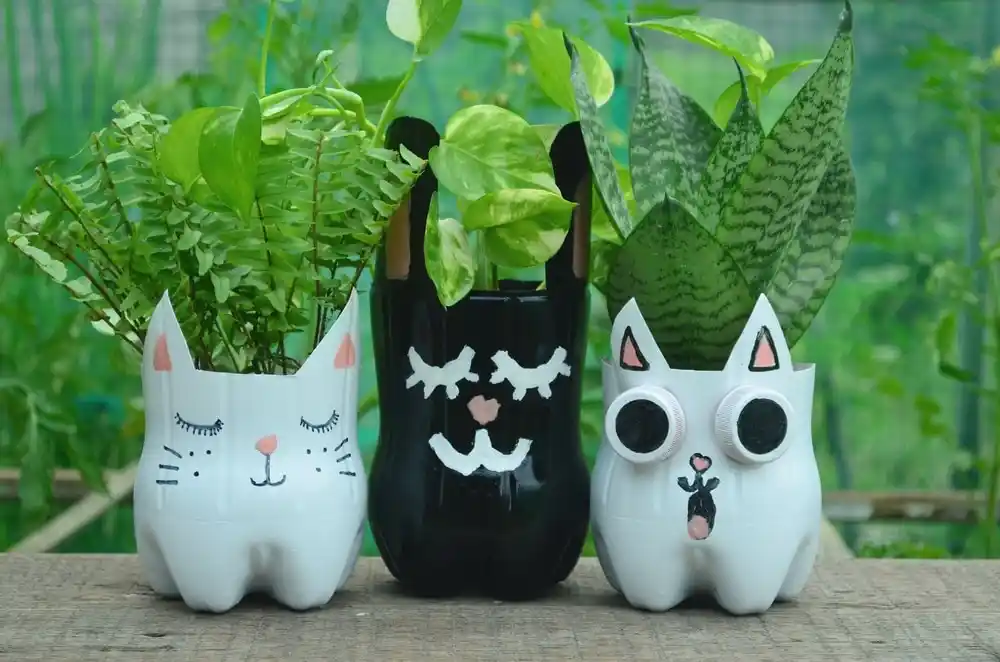 Decora como quieras
