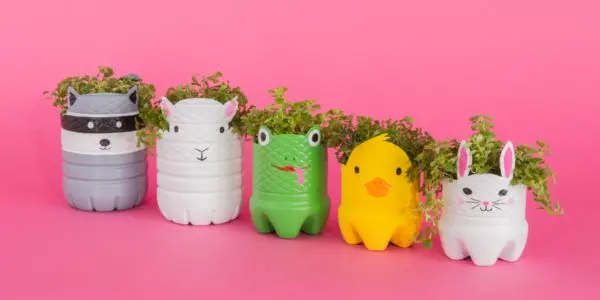 Cómo hacer macetas con botellas de plástico: Guía práctica