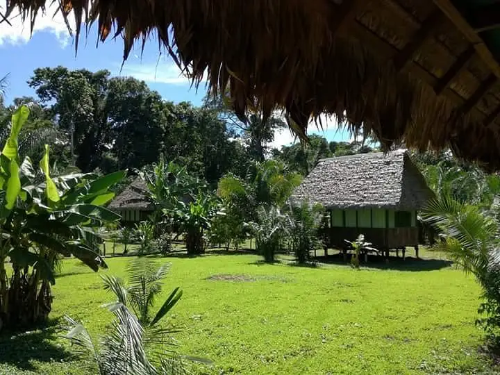 Los mejores tours de Amazon Garden Lodge