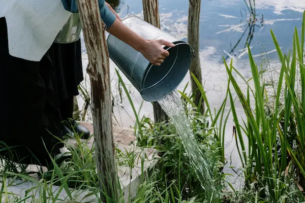 cuidado del agua
